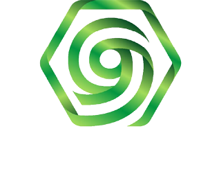 x99 ventures